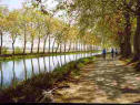 Le Canal du Midi
