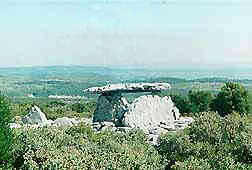 Un dolmen du Bois Bas.
